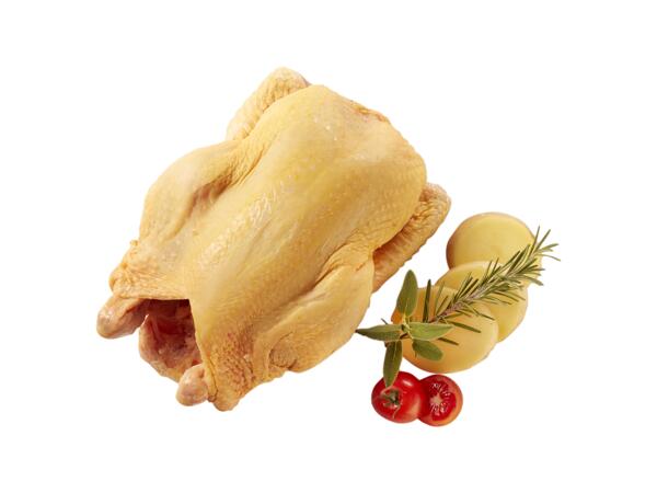 Campese Chicken