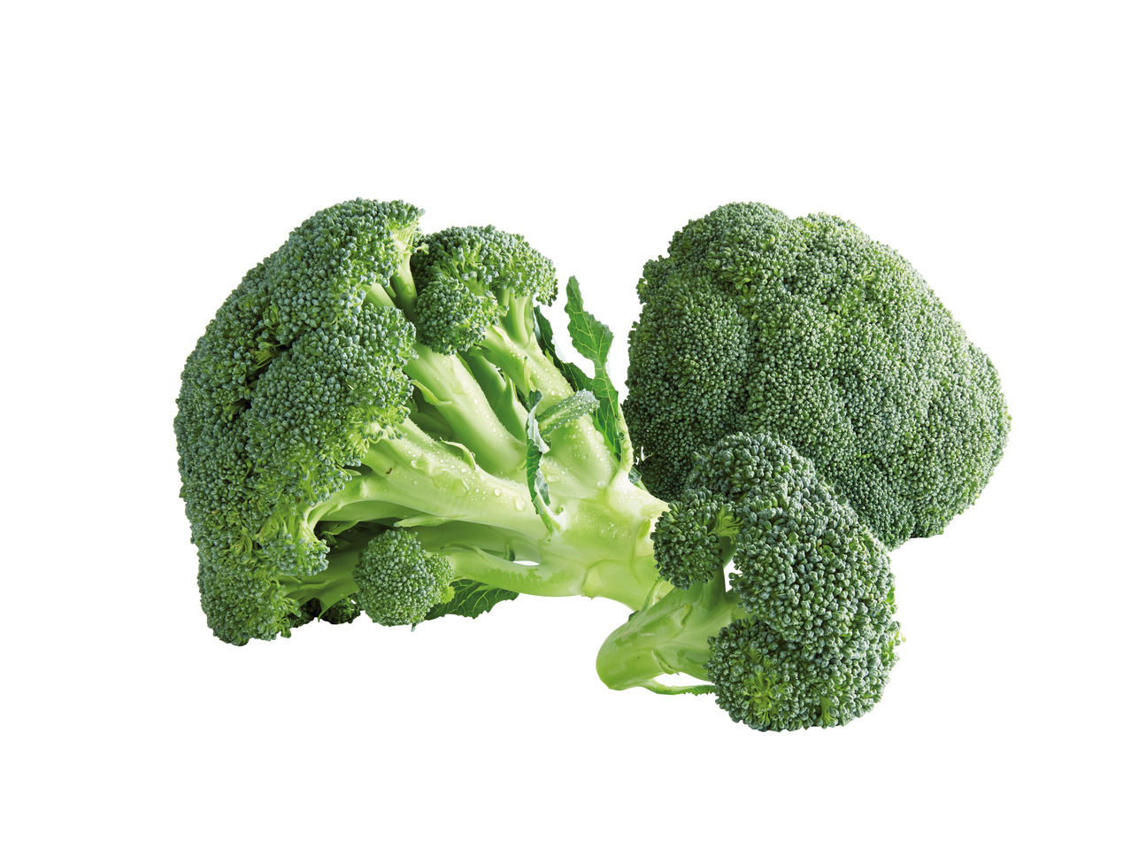 Broccoli