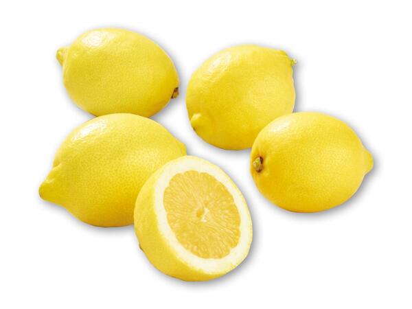 Skoleagurker eller citroner