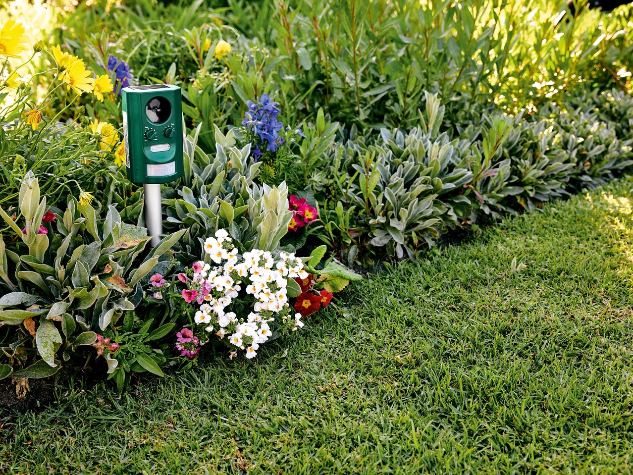 Solar Powered Animal Repeller