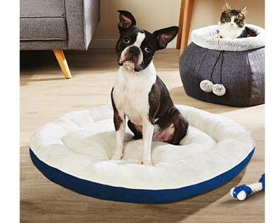 Assorted Dog Beds