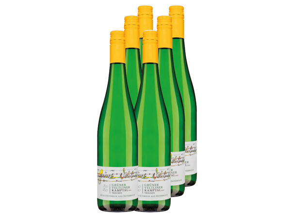 Grüner Veltliner Kamptal DAC