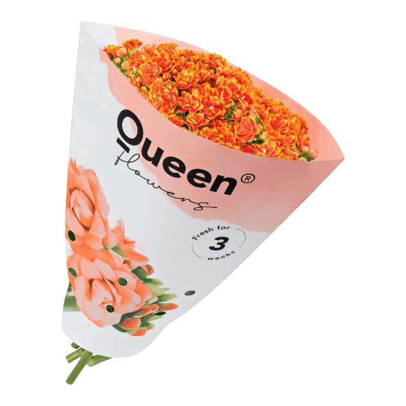 Kalanchoe-Strauß