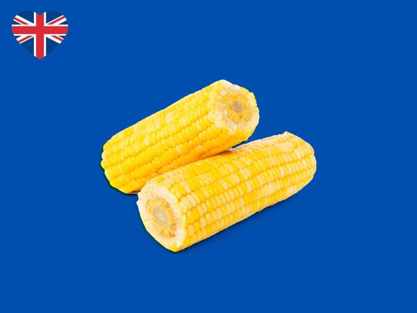 Fresh Corn Twin Pack