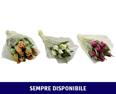 BOUQUET DI TULIPANI
