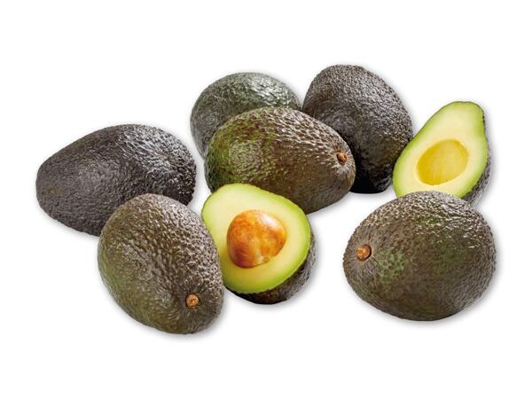 Avocado