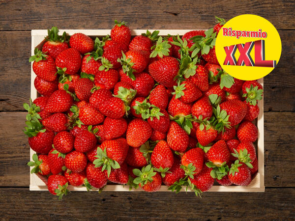 Fragole