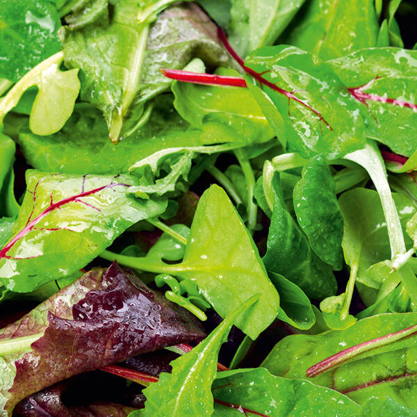 Bio-Salate