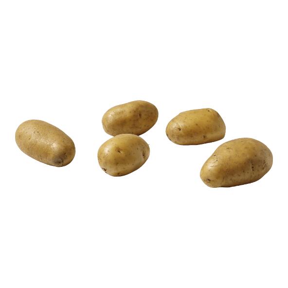 Nicola-Kartoffeln