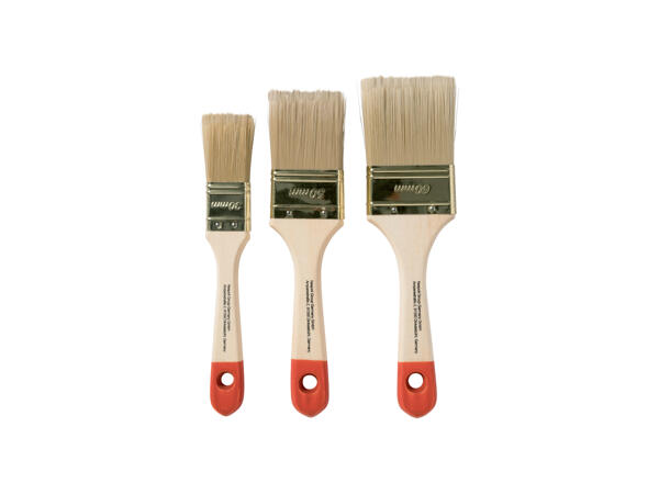Paintbrush Set