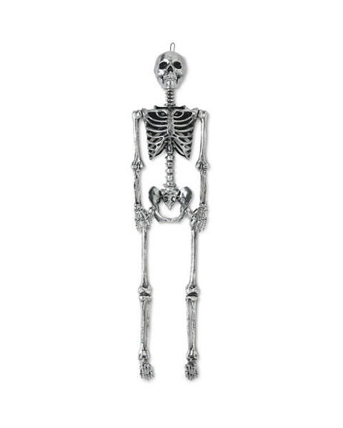 Posable Skeleton