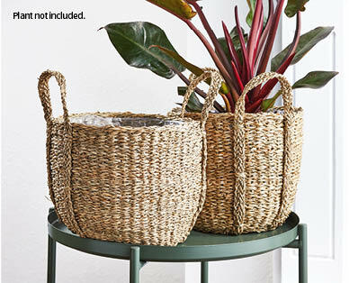 Seagrass Planters