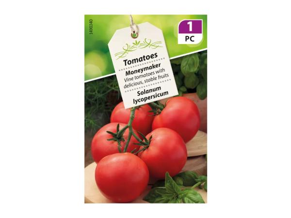 Fine Vegetable Seeds - labelled 1
