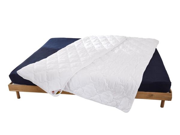 Livarno Home Anti-Allergy Duvet
