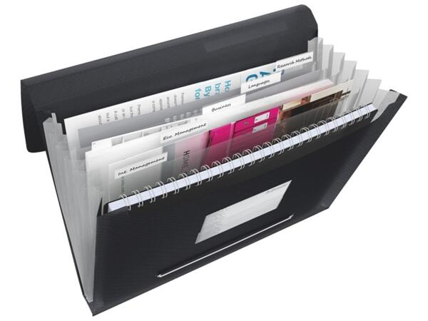 Document organizer