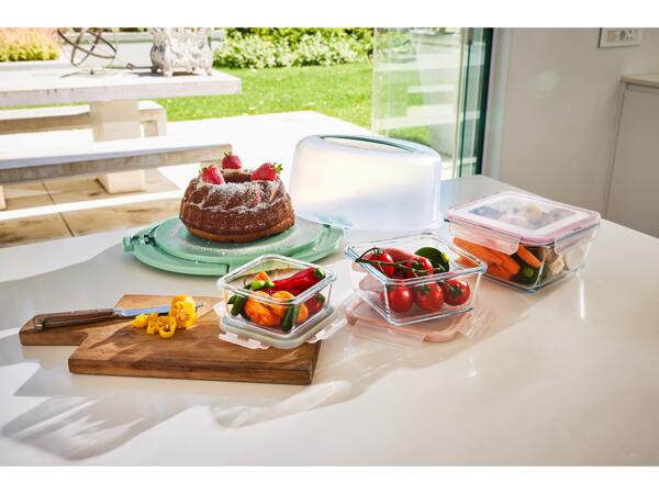 Food Storage Containers