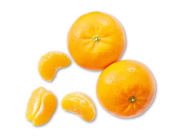 Klementiner