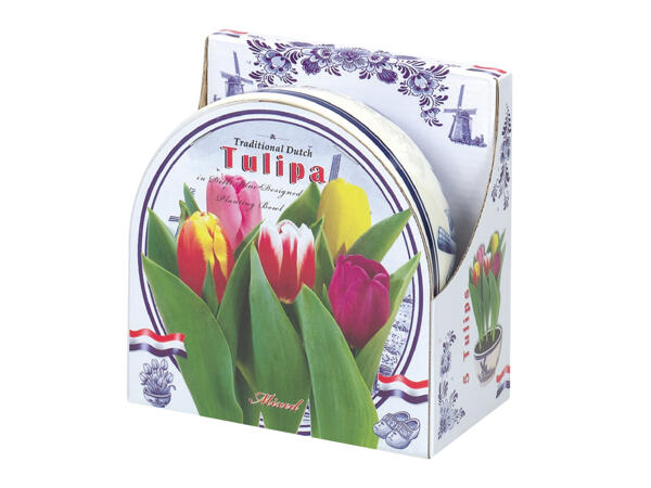 Flowering Bulbs In Ceramic Bowl