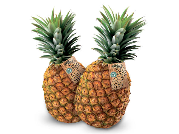 Ananas