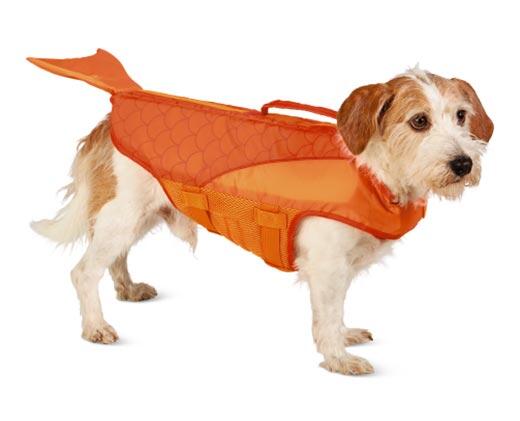 Heart to Tail
Pet Flotation Aid