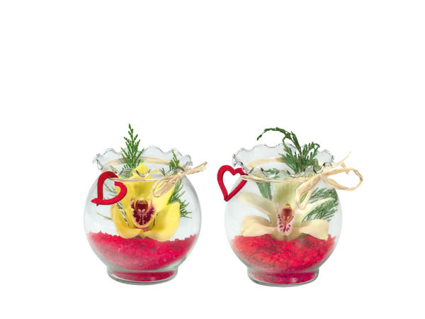 Orkidéblomma i glasskål