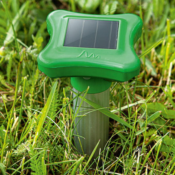 Solar Maulwurfabwehr 2er-Set