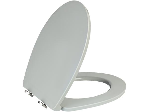 Toilet Seat