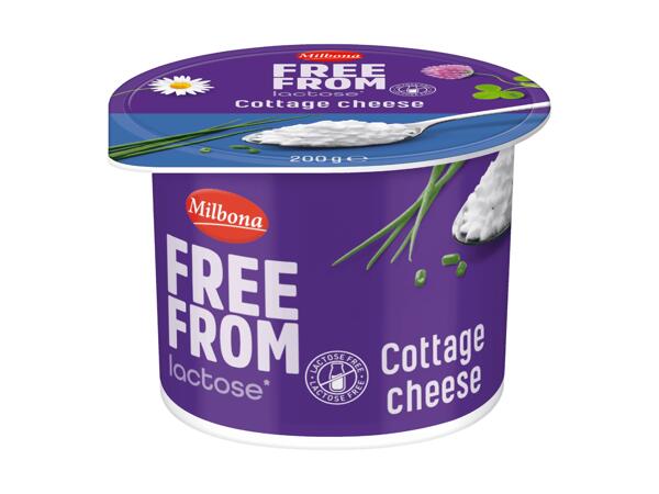 Körniger Frischkäse laktosefrei