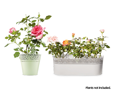 Decorative Flower Pots