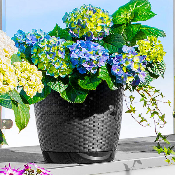 Blumentopf