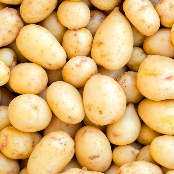 Speisekartoffeln