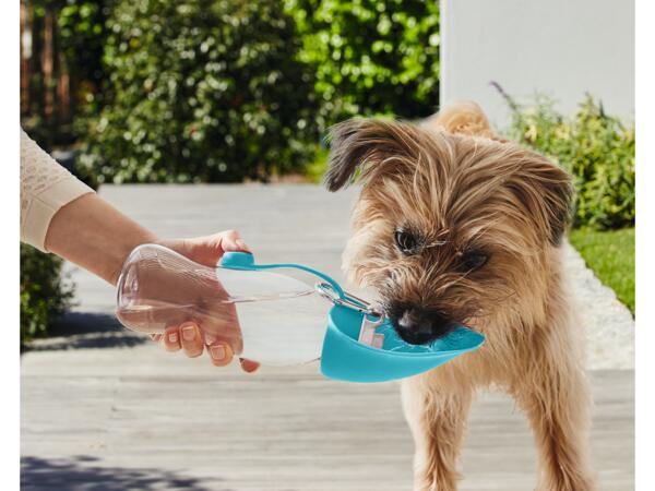 Dog Drinks Bottle