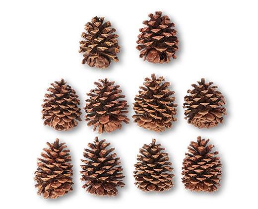 Huntington Home 
 Holiday Pine Cones
