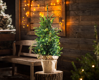 Weihnachtsbaum, geschmückt