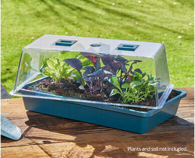 Seed and Cutting Greenhouse