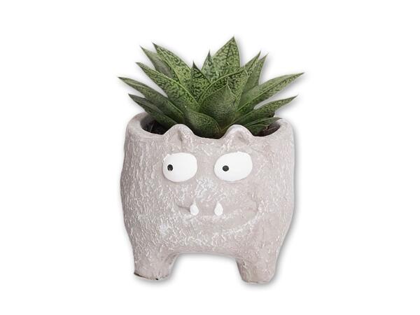 Grøn plante i keramik