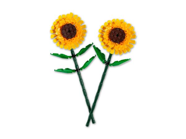 Blume