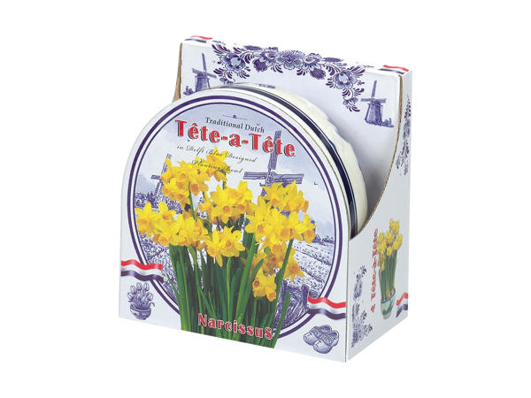 Blomsterløg i keramikskål