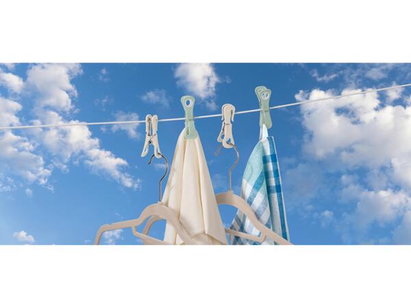 Clothes Pegs