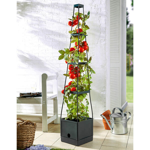 Tomaten-Pflanzturm