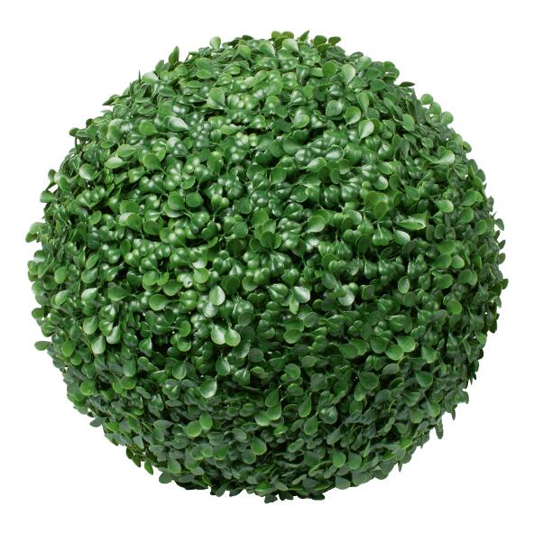 Buxusbol