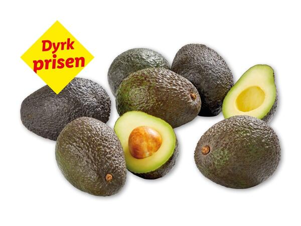 Avocado