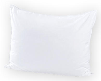 Oreiller "plume/duvet" MY LIVING STYLE