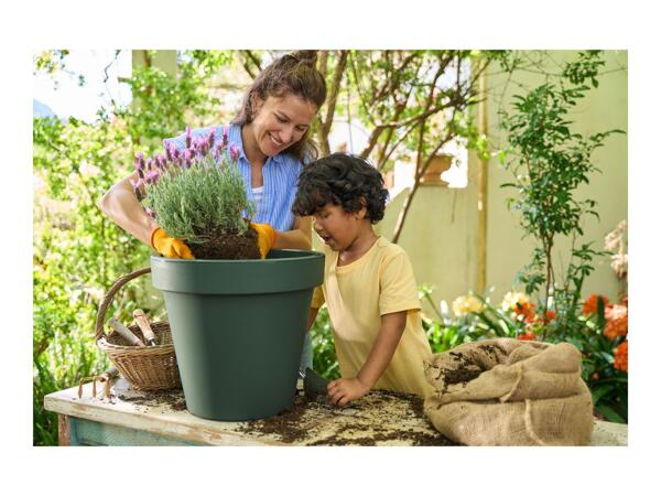 Parkside Gardening Gloves - 2 Pairs - Yellow