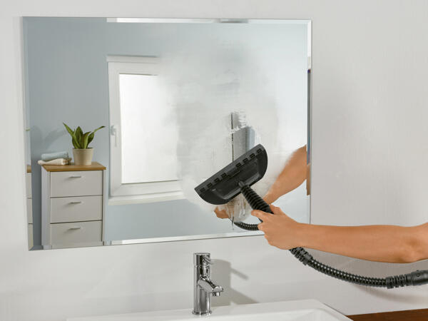 Hand-Held Steam Cleaner