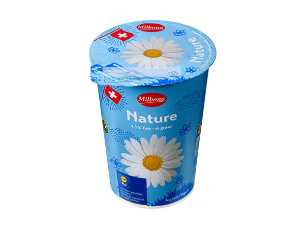Yogourt nature