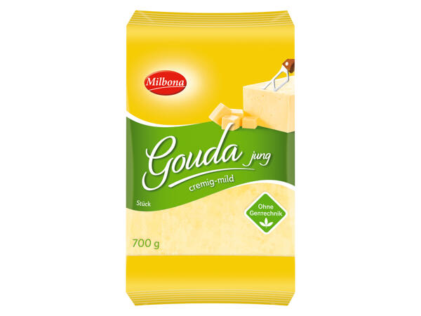 Gouda