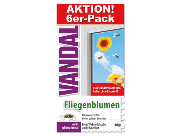 Vandal Fenster Fliegenblume