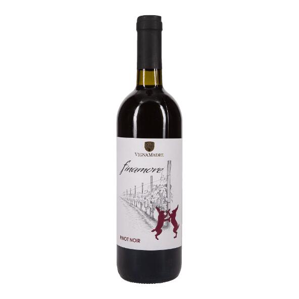 Pinot Noir Trevenezie IGT