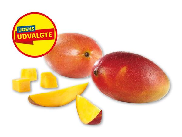 Mango